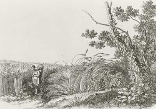 Gründliche Schule für Landschafter