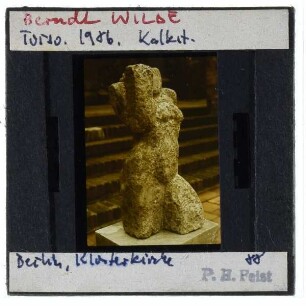 Wilde, Torso