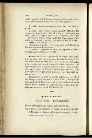 Quarta Tribù. I Pinnatipedi. - Pinnatipedes.