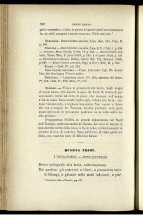 Quarta Tribù. I Pinnatipedi. - Pinnatipedes.