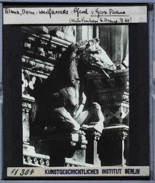 Siena, Dom : Pferd