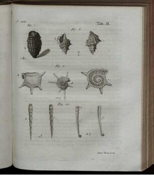 Fig. 7 bis Fig. 10