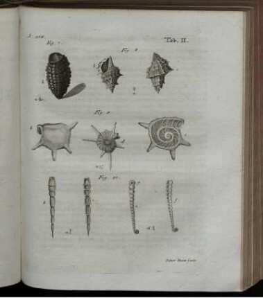 Fig. 7 bis Fig. 10