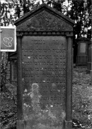 Grabstein 63 (Index: 100111132) Material: Sandstein Zustand: leicht verwittert am unteren Rand Maße HxBxT: 146x60x18 cm Beschreibung: ädikulaartige Stele mit Halbsäulen, giebelartiger Abschluß mit Verdachung Symbolik: Ranke, Zahnfries: Grabstein 63
