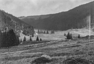 Berglandschaft : Blick über eine Hochebene mit Wiesenfläche, links und im Hintergrund Bergwald auf den Hängen, vorn ein Zaun