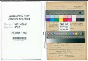 Entnazifizierung Theo Koester , geb. 11.04.1914 (Angestellter)