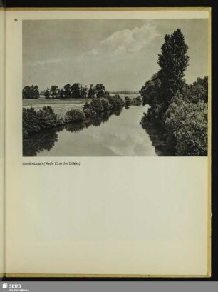 Auenlandschaft (Weiße Elster bei Döhlen)