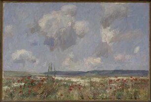 Blumige Wiese mit Mohn