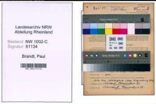 Entnazifizierung Paul Brandt, geb. 17.10.1899 (Angest.)
