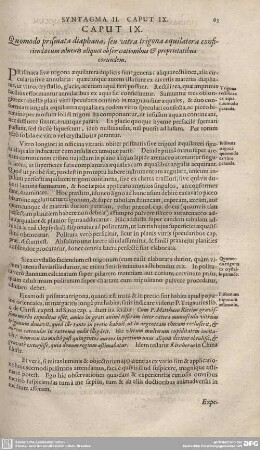 Caput IX. Quomodo prismata diaphana, seu vitra trigona aequilatera conficienda cum adnexis aliquot observationibus et Proprietatibus eorundem.