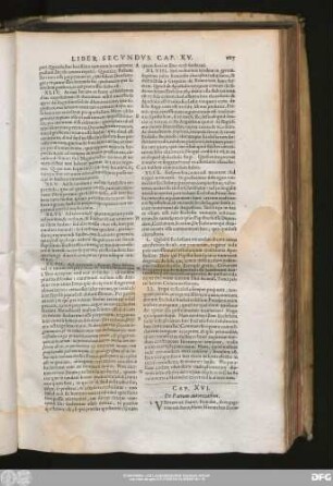 Cap. XVI. De Patrum autoritatibus.