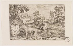 Kleinaffen aus (Animalium Qvaddrupedum)