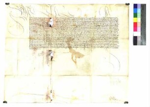 Maximilian (I.), erwählter römischer Kaiser, belehnt den Grafen Ulrich von Helfenstein mit dem Blutbann in seiner Herrschaft und beim Schloß Hiltenburg, im Städtlein Wiesensteig und im Markt Deggingen.