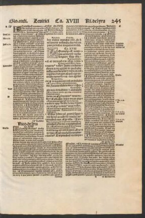 Ca. XVIII