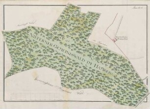Plan Litt. O. Weingaerthen im Enzberg