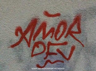 AMOR DFV