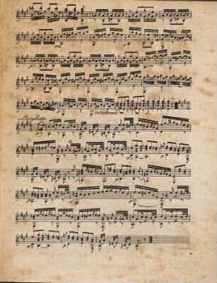 Solo varié sur l'air de la Molinara : pour la guitare ; Oeuv. 107