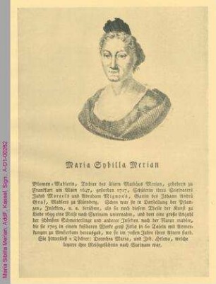 Porträt von Maria Sibilla Merian