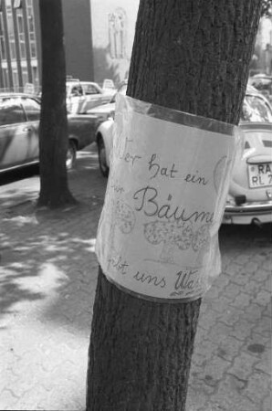 "Ein Herz für Bäume" im heißen Sommer 1983