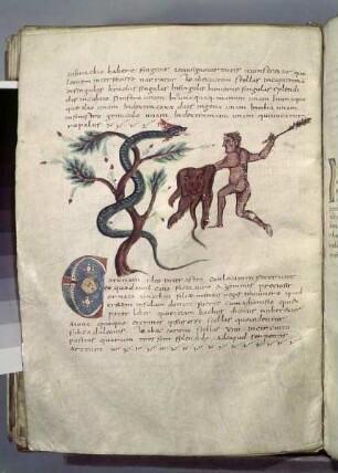 Enzyclopädische Sammelhandschrift — Herkules