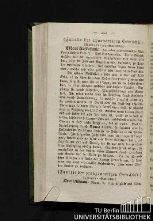 Eßbare Roßkastanie.)