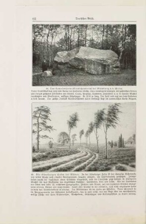 98. Der Gewekenstein (Giebichenstein) bei Nienburg a. d. Weser
