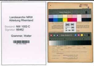 Entnazifizierung Walter Grammer, geb. 17.08.1899 (Vertreter)