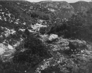 Lithothammienkalk : Aufnahme einer Landschaft mit Lithothammienkalk Felsen