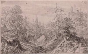 Baumlandschaft