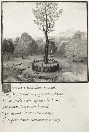 Miniaturen zu Dichtungen Petrarcas: Die 5. Vision (a)