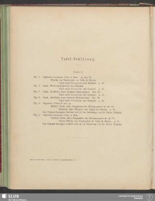 Tafel-Erklärung: Tafel I