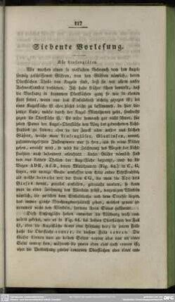 Siebente Vorlesung
