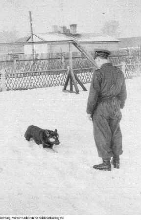 Militärisches (Aufmärsche, Appelle, Kranzniederlegung, Übungen, Alltag, etc.)