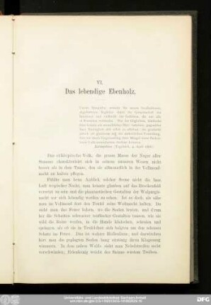 VI. Das lebendige Ebenholz.