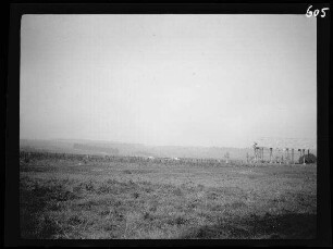 "Sternwald-Stellung" bei Vermandovillers (Dep. Somme, Frankreich): Feld mit Stacheldrahtverhau ("2. Stellung bei Maurepas")