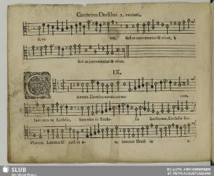 IX. Cantate Domino canticum novum