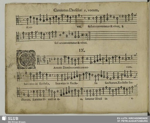 IX. Cantate Domino canticum novum