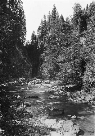 Harz. Die Bode im gleichnamigen Tal