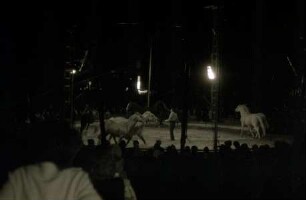 Circus Busch-Berlin, Hannover, 1977