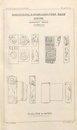 Plate X. Kurunégala-Anuradhapura Road. Shrine. Buddhist Rails (Fragments)