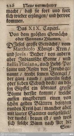 Das XIX. Capitel. Von dem grösten Gewächs oder Sonnen-Blume.