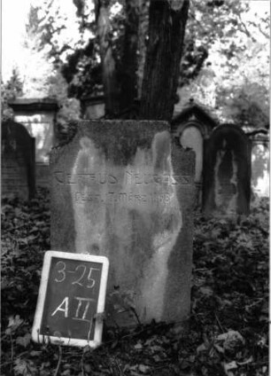 Grabstein A II/3/25