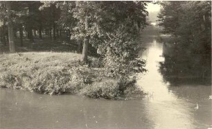 Blick von der Spreebrücke in Bühlow bei Spremberg : Pohlad z mosta w Běłej na Sprjewju pola Grodka