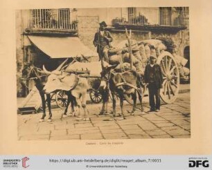 Costumi - Carro da trasporto