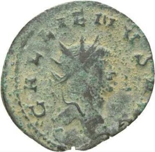 Antoninian des Gallienus