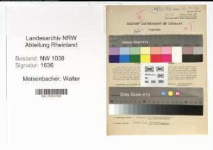 Entnazifizierung Walter Meisenbacher , geb. 02.03.1909 (Goldschmied)