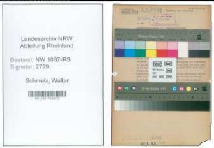 Entnazifizierung Walter Schmelz , geb. 11.05.1910 (Zollassistent)