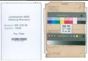 Entnazifizierung Peter Fey , geb. 01.01.1903 (Landessekretaer)