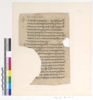 Lk. XIX, 31 - 38