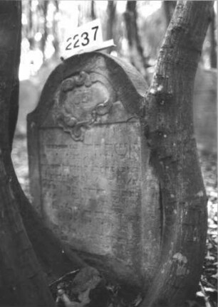 Grabstein 2237 (Detailaufnahme 1)